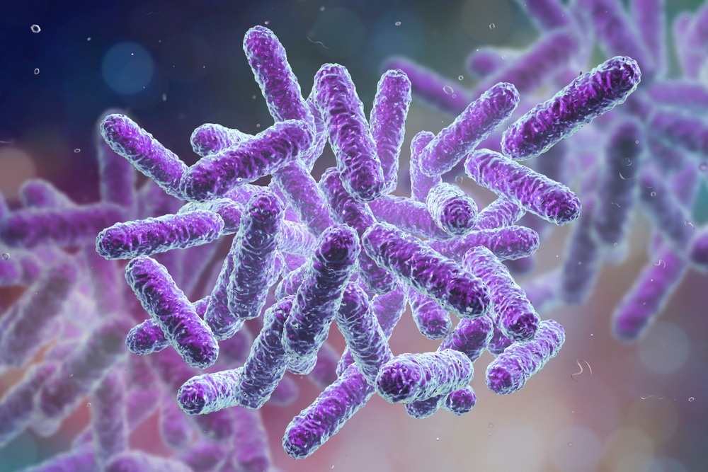 Study: Novel Organism Verification and Analysis (NOVA) study: identification of 35 clinical isolates representing potentially novel bacterial taxa using a pipeline based on whole genome sequencing. Image Credit: Kateryna Kon/Shutterstock.com