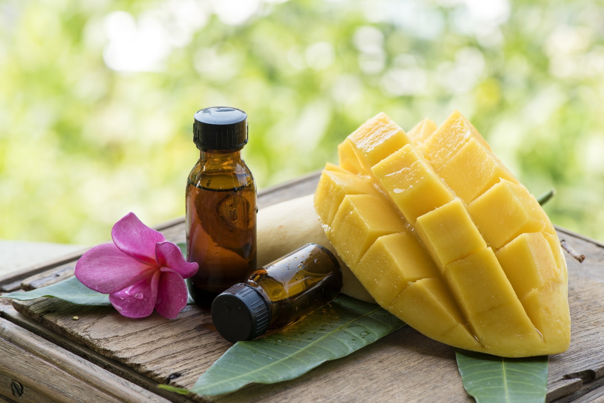 Study: Mangiferin (mango) attenuates AOM-induced colorectal cancer in rat’s colon by augmentation of apoptotic proteins and antioxidant mechanisms. Image Credit: wasanajai/Shutterstock.com