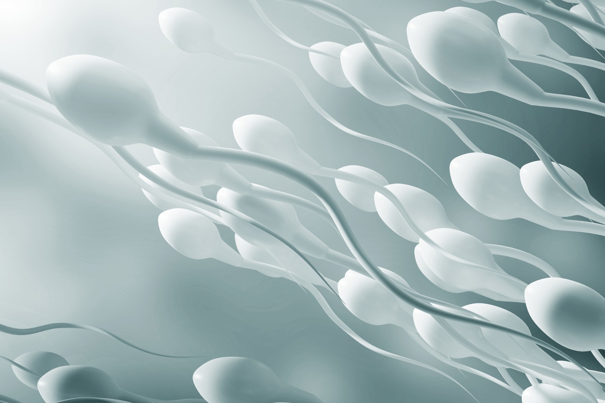 Study: Semen microbiota are dramatically altered in men with abnormal sperm parameters. Image Credit: KateStudio/Shutterstock.com