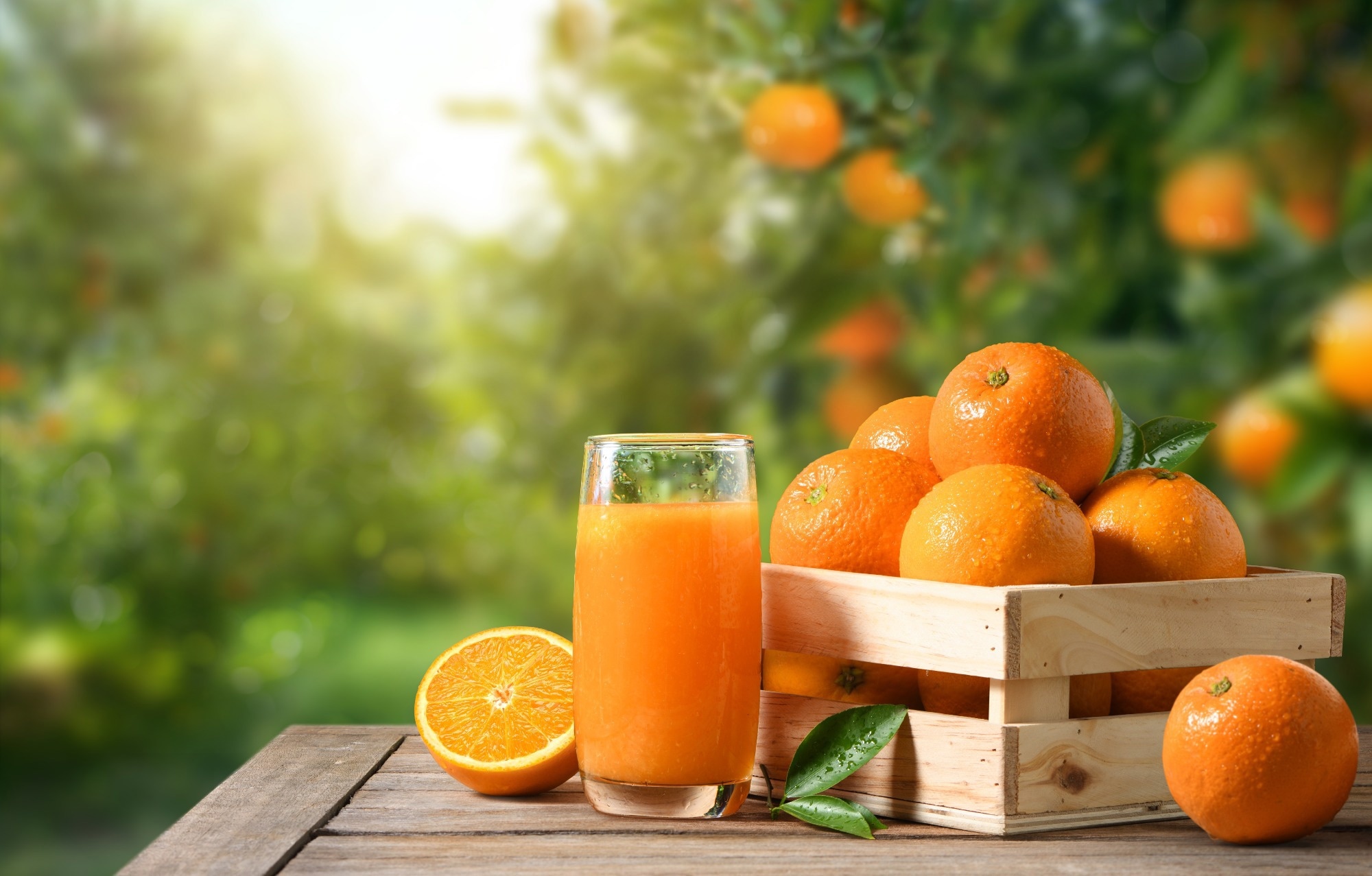 Study: Effect of 100% Orange Juice and a Volume-Matched Sugar-Sweetened Drink on Subjective Appetite, Food Intake, and Glycemic Response in Adults. Image Credit: Photoongraphy/Shutterstock.com