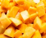 From pregnancy to pension: Mangoes improve diet, study shows
