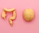 From gut to brain: How diet can influence Alzheimer's and Parkinson's outcomes