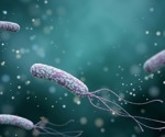 Body mass index found to mediate causal associations between Helicobacter pylori infections and coronary artery disease risk