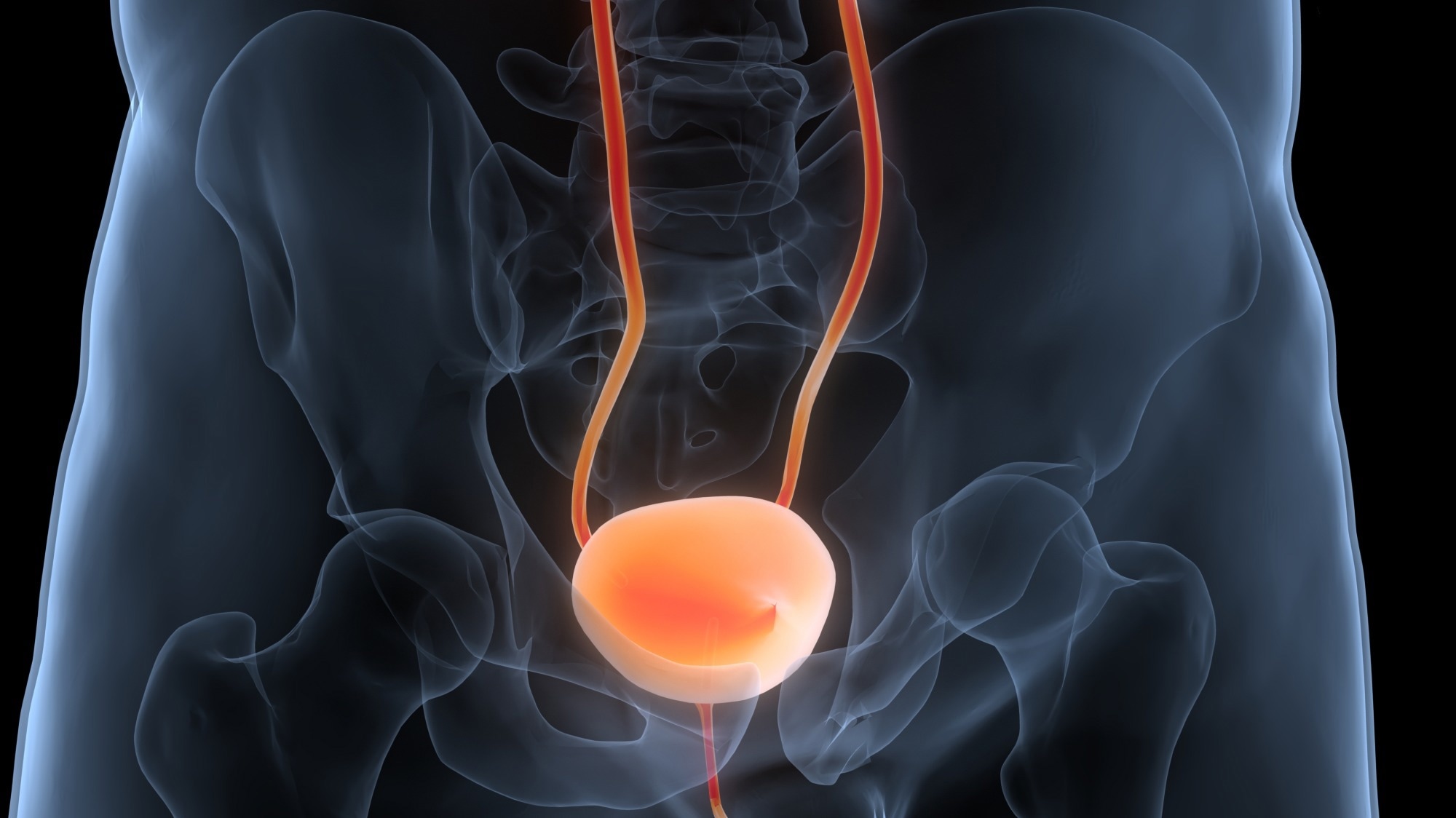 Gut and bladder fermentation syndromes: a narrative review. Image Credit: Magic mine / Shutterstock