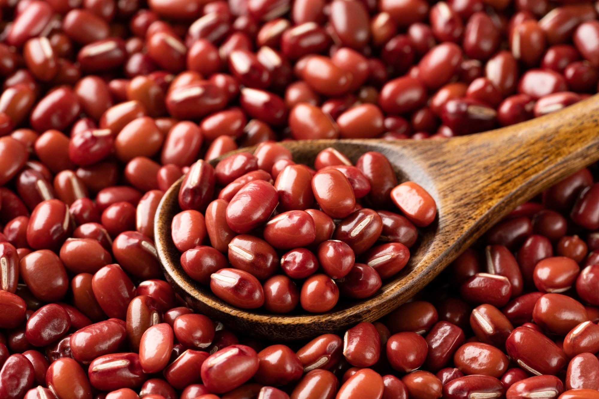Study: The potential of adzuki bean (Vigna angleis) and its bioactive compounds in the treatment of type 2 diabetes and glucose metabolism: A narrative review. Image source: Hanasaki/Shutterstock.com
