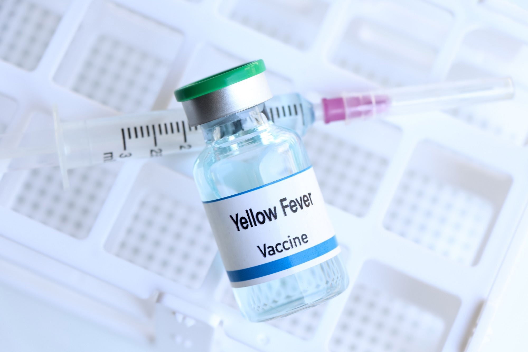 Study: Long-term immunity following yellow fever vaccination: a systematic review and meta-analysis. Image Credit: chemical industry/Shutterstock.com