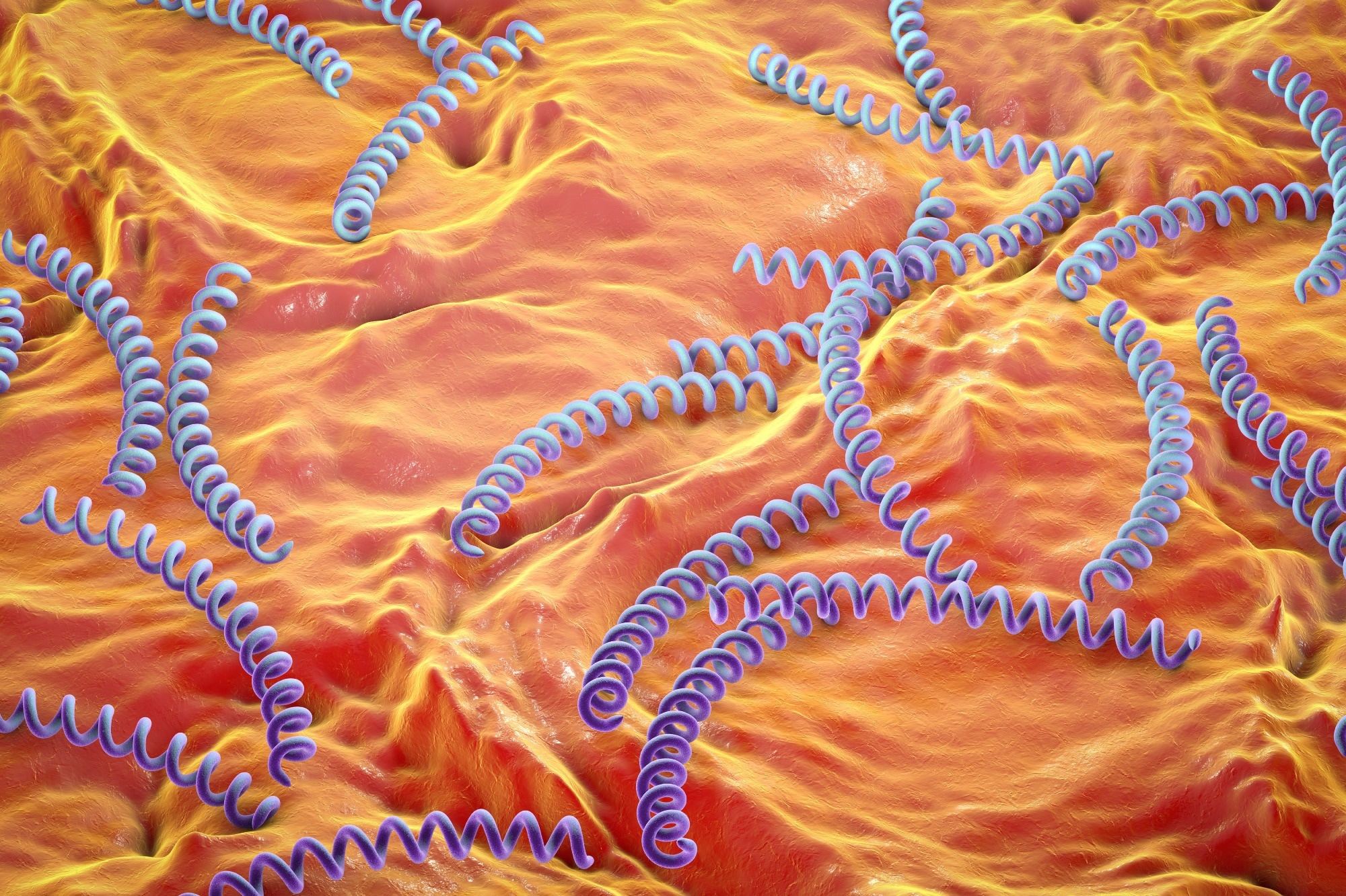 Study: Syphilis: Is it back with a bang?  Image credit: Kateryna Kon/Shutterstock