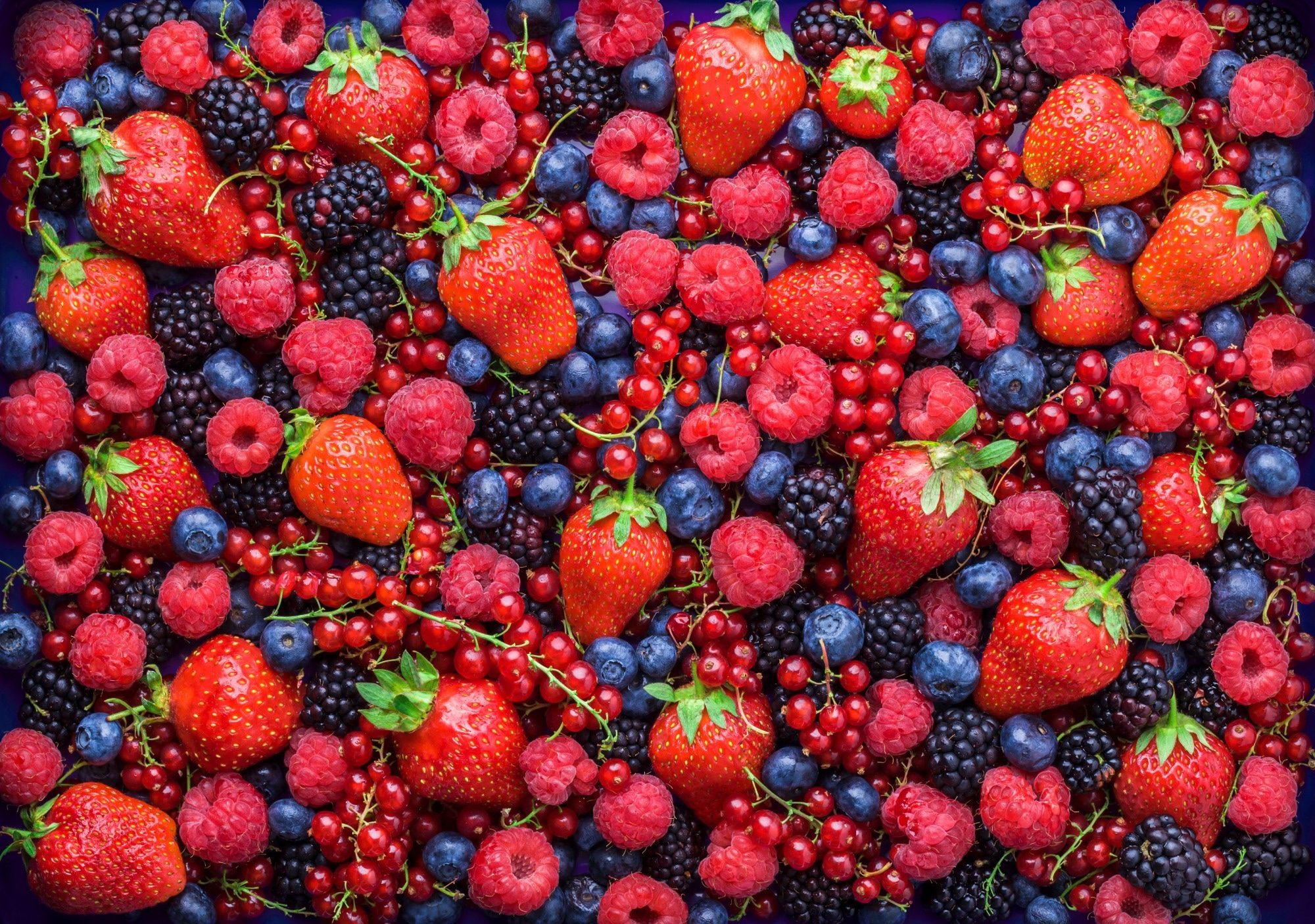 Study: Berry Consumption in Relation to Allostatic Load in US Adults: The National Health and Nutrition Examination Survey, 2003–2010. Image Credit: Bojsha/Shutterstock.com