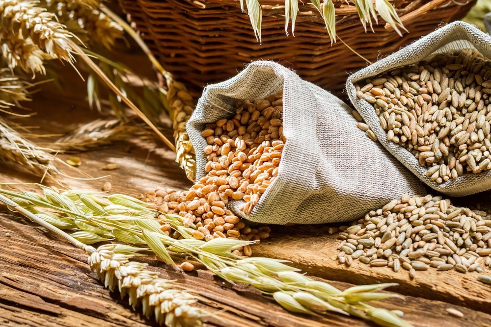 Study: Association of Cereal Fiber Intake with Rheumatoid Arthritis Mediated by Dietary Inflammatory Indicators: Insights from NHANES 2011-2020.  Image credit: Shaiith/Shutterstock.com