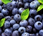 Blueberries boost calmness but not cognition in metabolic syndrome study