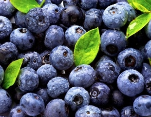 Blueberries boost calmness but not cognition in metabolic syndrome study