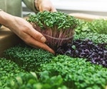 Microgreens: Superfoods for the future, packed with nutrients and easy to grow