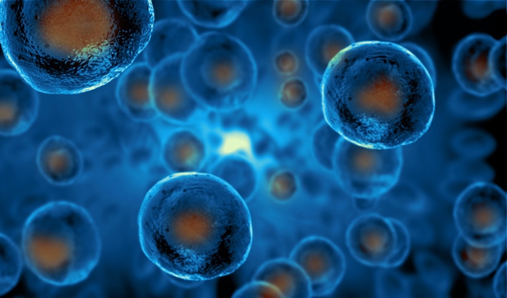 Study: Stem cell mTOR signaling directs region-specific cell fate decisions during intestinal nutrient adaptation. Image Credit: Giovanni Cancemi/Shutterstock.com