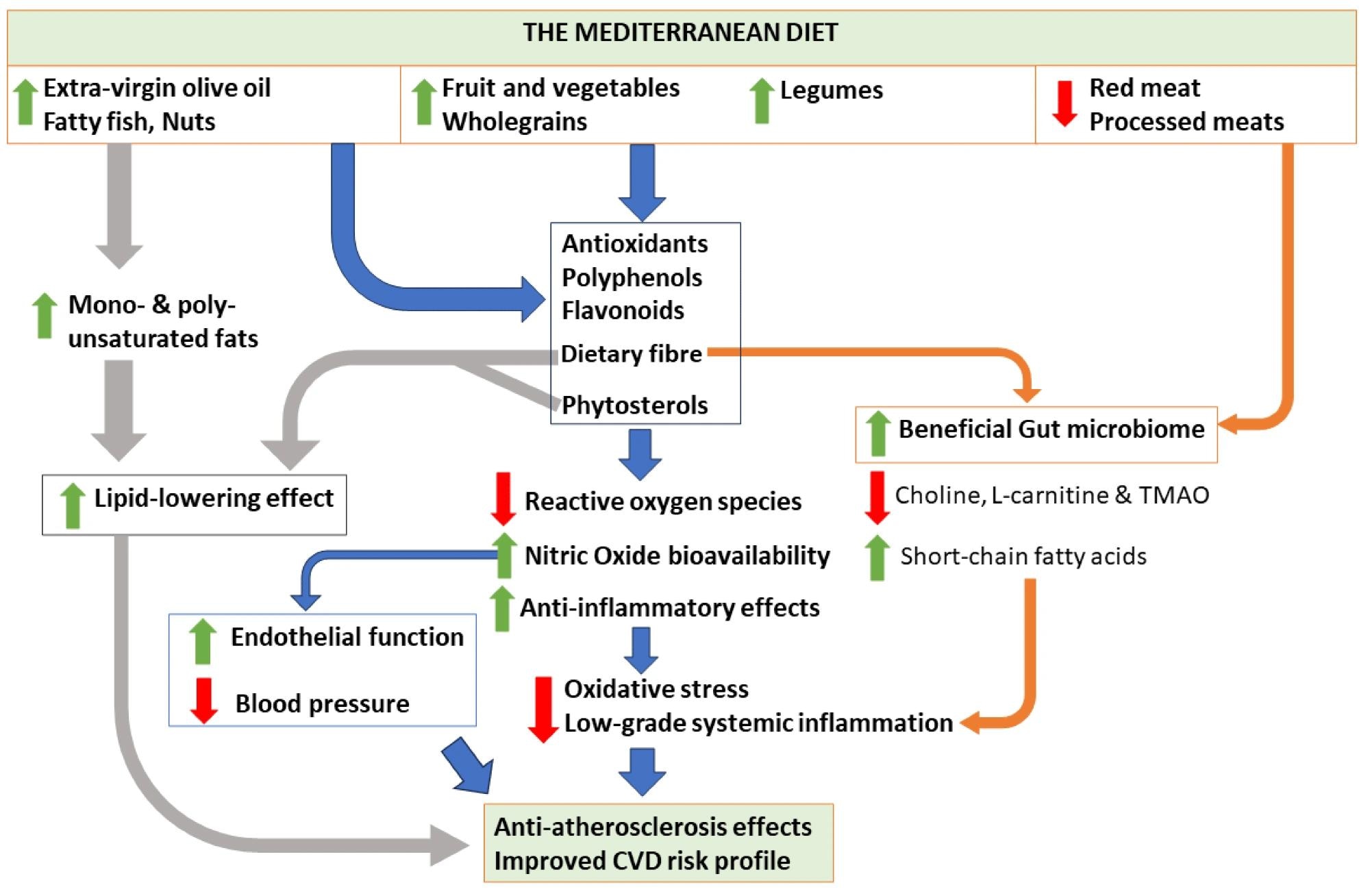 Possible mechanisms associated with the Mediterranean diet and its components, and their effects on cardiovascular health. TMAO, trimethylamine N-oxide; CVD, cardiovascular disease.