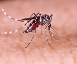 Zika virus detected in Singapore neighborhood: 15 cases spark renewed vigilance