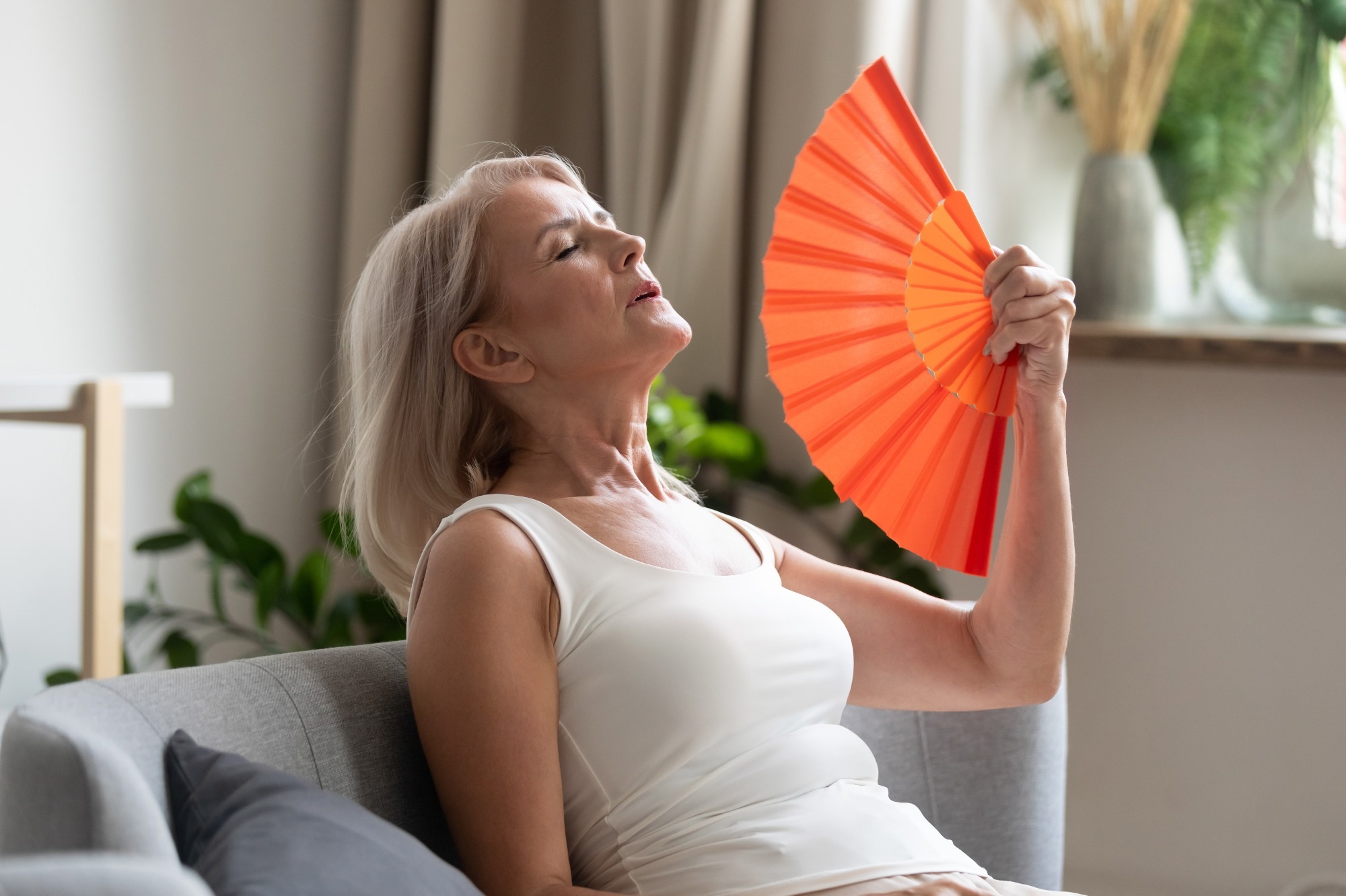Study: Menopause Hot Flashes and Molecular Mechanisms Modulated by Food-Derived Nutrients. Image Credit: fizkes/Shutterstock.com