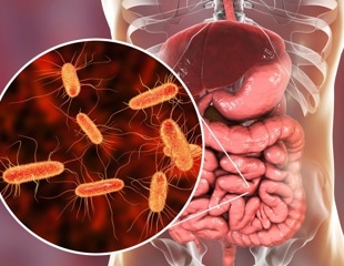 Gut bacteria diversity linked to body weight, athletes show healthier profiles