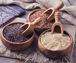 The impact of quinoa bioactive compounds on gut health