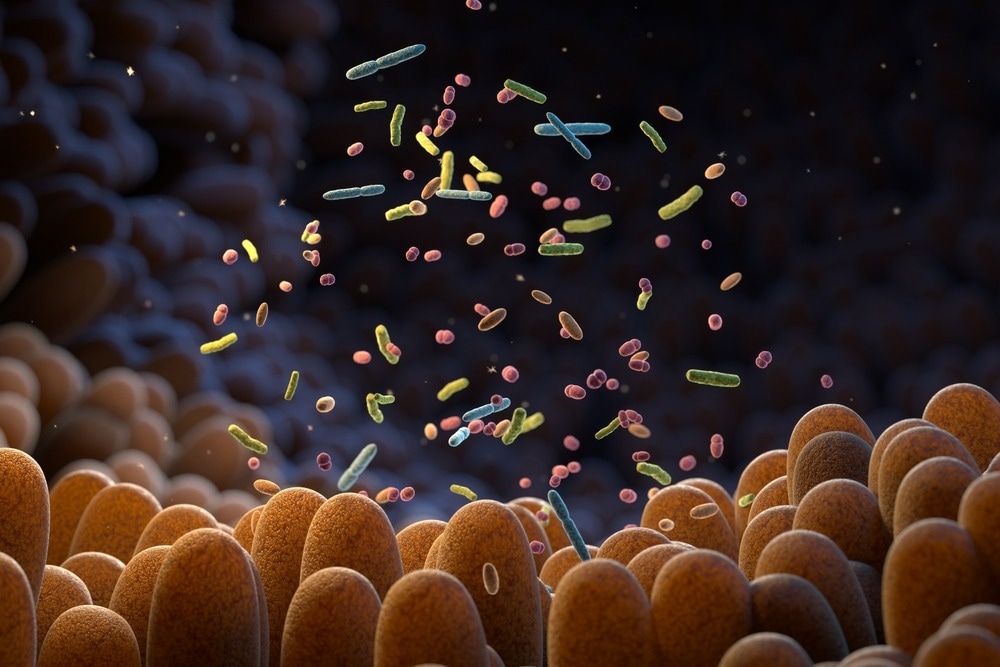Study: Effect of gut microbiome modulation on muscle function and cognition: the PROMOTe randomised controlled trial. Image Credit: Tatiana Shepeleva/Shutterstock.com