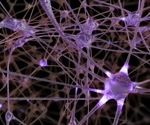 Key brain cells linked to repetitive behaviors in psychiatric diseases