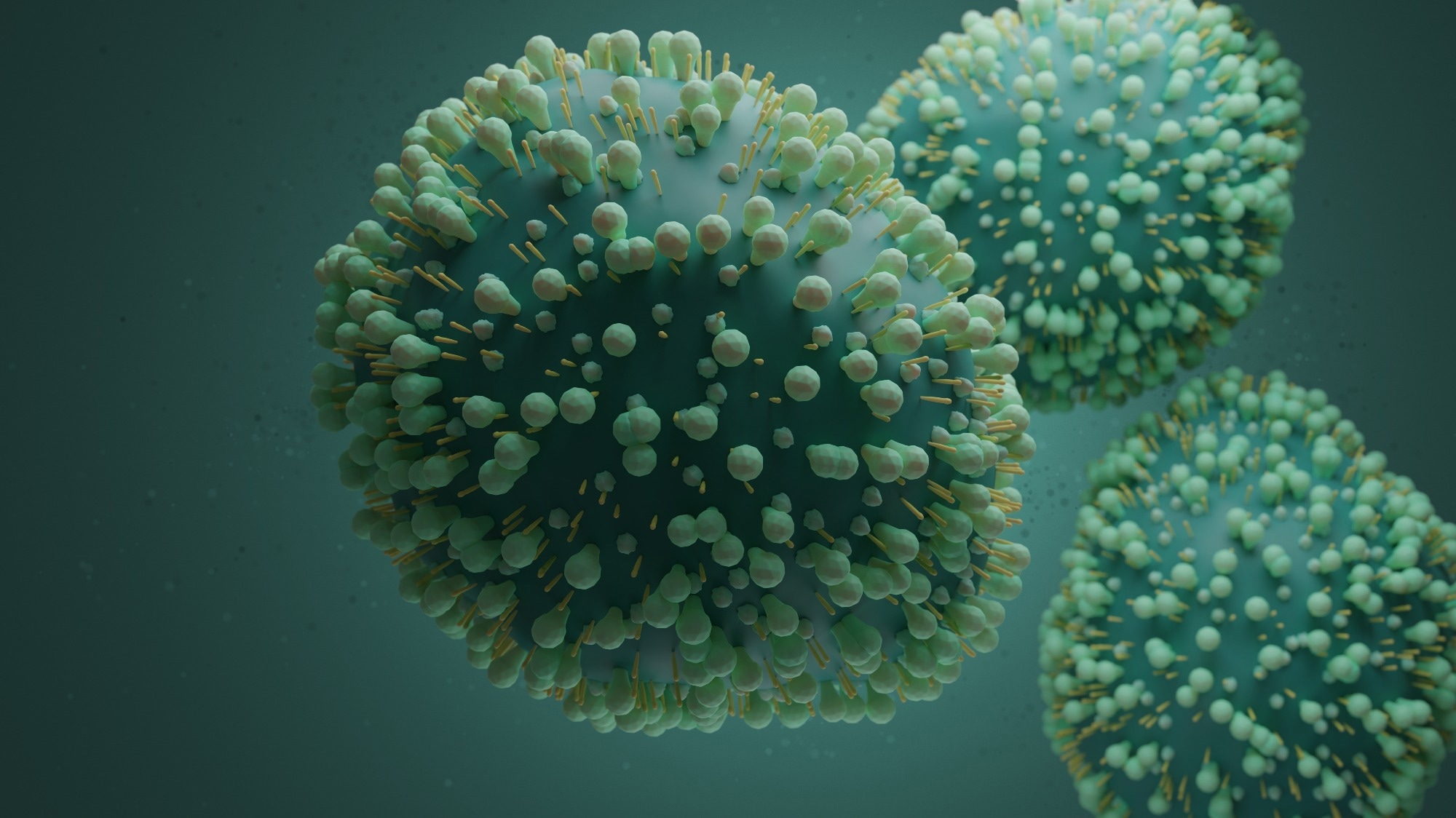 Report: Early Estimate of Nirsevimab Effectiveness for Prevention of Respiratory Syncytial Virus–Associated Hospitalization Among Infants Entering Their First Respiratory Syncytial Virus Season — New Vaccine Surveillance Network, October 2023–February 2024. Image Credit: joshimerbin / Shutterstock