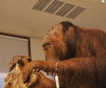 Tracing Monkeypox virus: Leveraging ancient orangutan DNA to investigate the 1965 Rotterdam Zoo outbreak