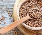 Improving iron status in young girls: The impact of iron-fortified lentil consumption