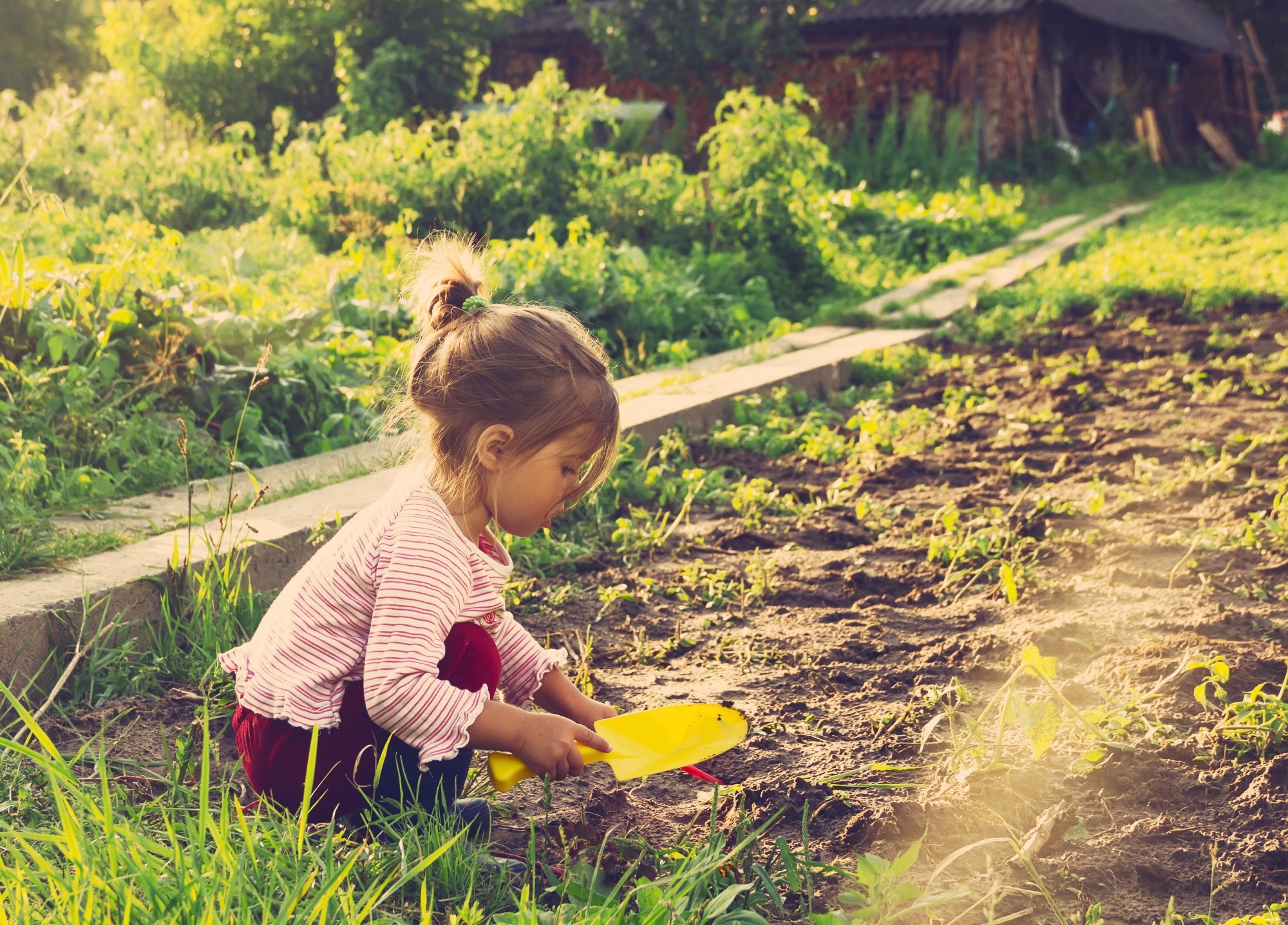 Study: Association between early life exposure to agriculture, biodiversity, and green space and risk of inflammatory bowel disease: a population-based cohort study. Image Credit: Katya Shut/Shutterstock.com