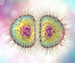Gonorrhea cases spike among young women in Europe, new study reveals
