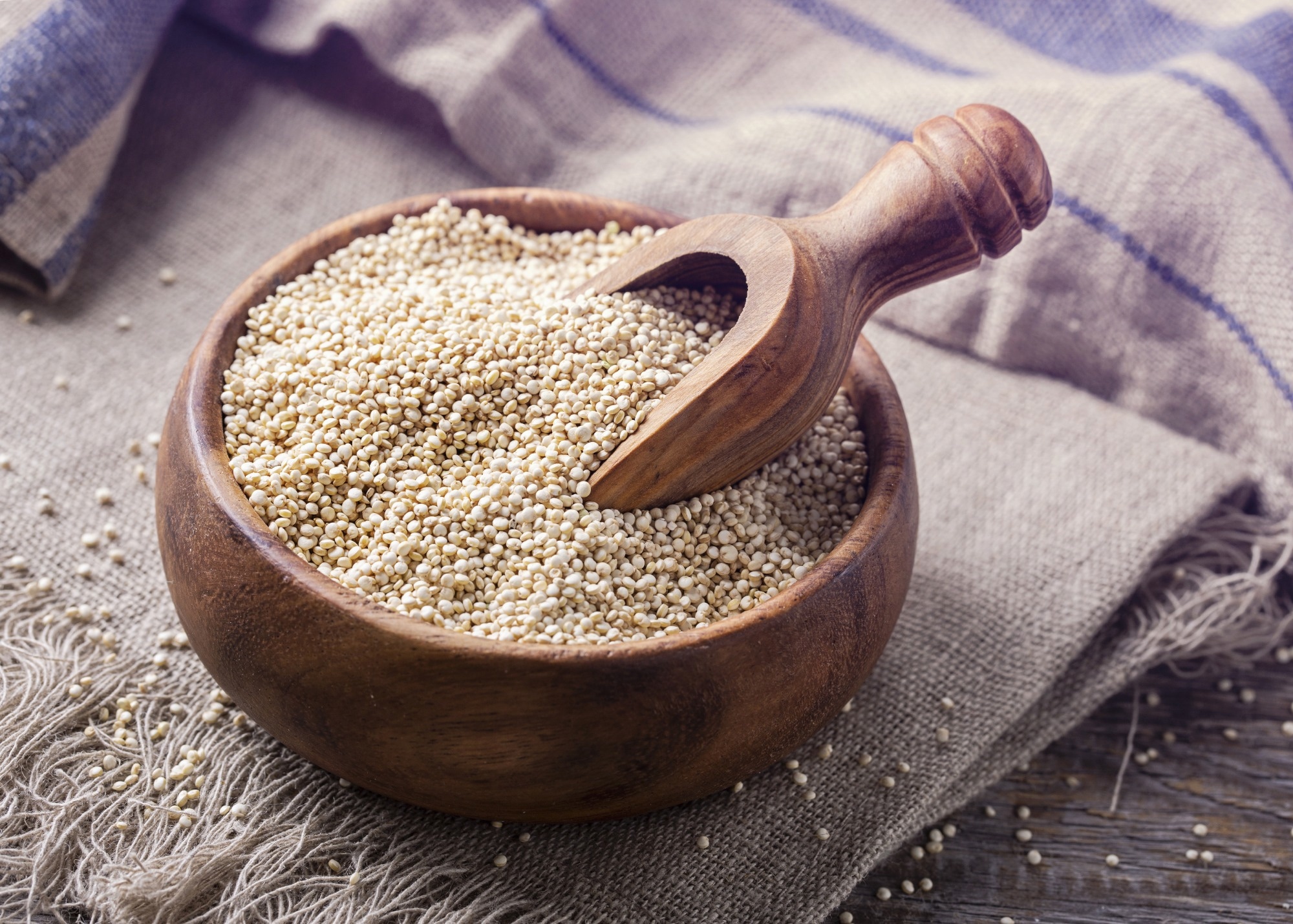 Study: Biotechnological, Nutritional, and Therapeutic Applications of Quinoa (Chenopodium quinoa Willd.) and Its By-Products: A Review of the Past Five-Year Findings. Image Credit: Elena Schweitzer/Shutterstock.com