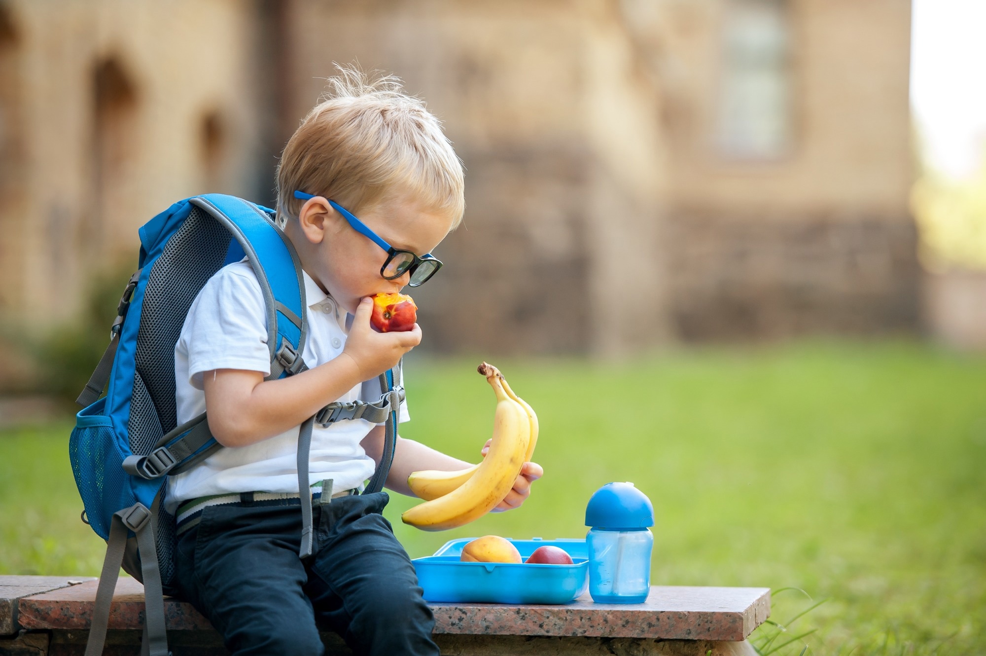Study: An assessment tool for the international healthy eating report card for preschool-aged children: a cross-cultural validation across Australia, Hong Kong, Singapore, and the United States. Image Credit: Sharomka / Shutterstock