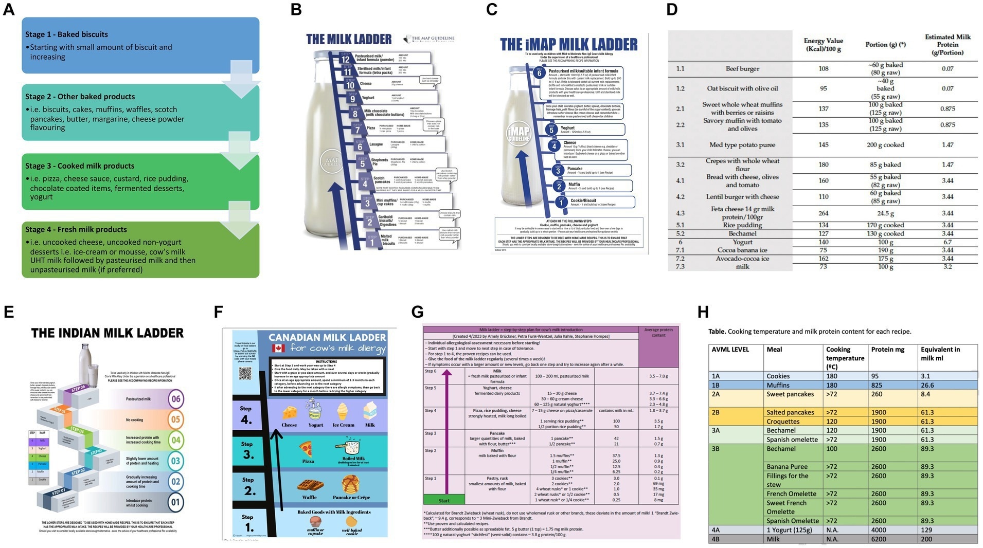Current milk ladders (A) BSACI (B) MAP (C) iMAP (D) Mediterranean (E) Indian (F) Canadian (G) German (H) Spanish. Study: The future of cow’s milk allergy – milk ladders in IgE-mediated food allergy.