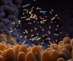 Unique bacteria colonize the gut shortly after birth and make serotonin to educate gut immune cells