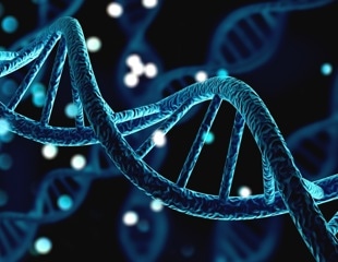 DNA repair process key to memory formation, study finds