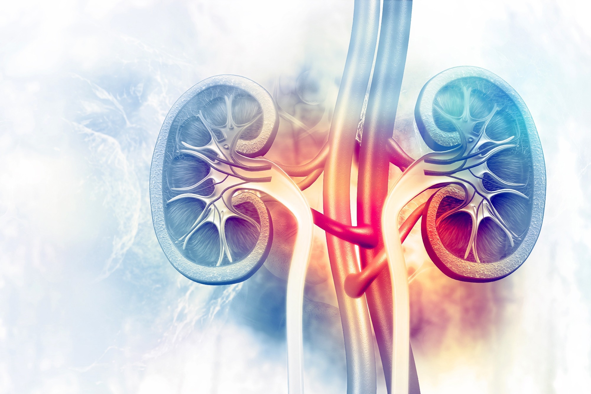 Study: Derivation and external validation of a simple risk score for predicting severe acute kidney injury after intravenous cisplatin: cohort study. Image Credit: crystal light / Shutterstock
