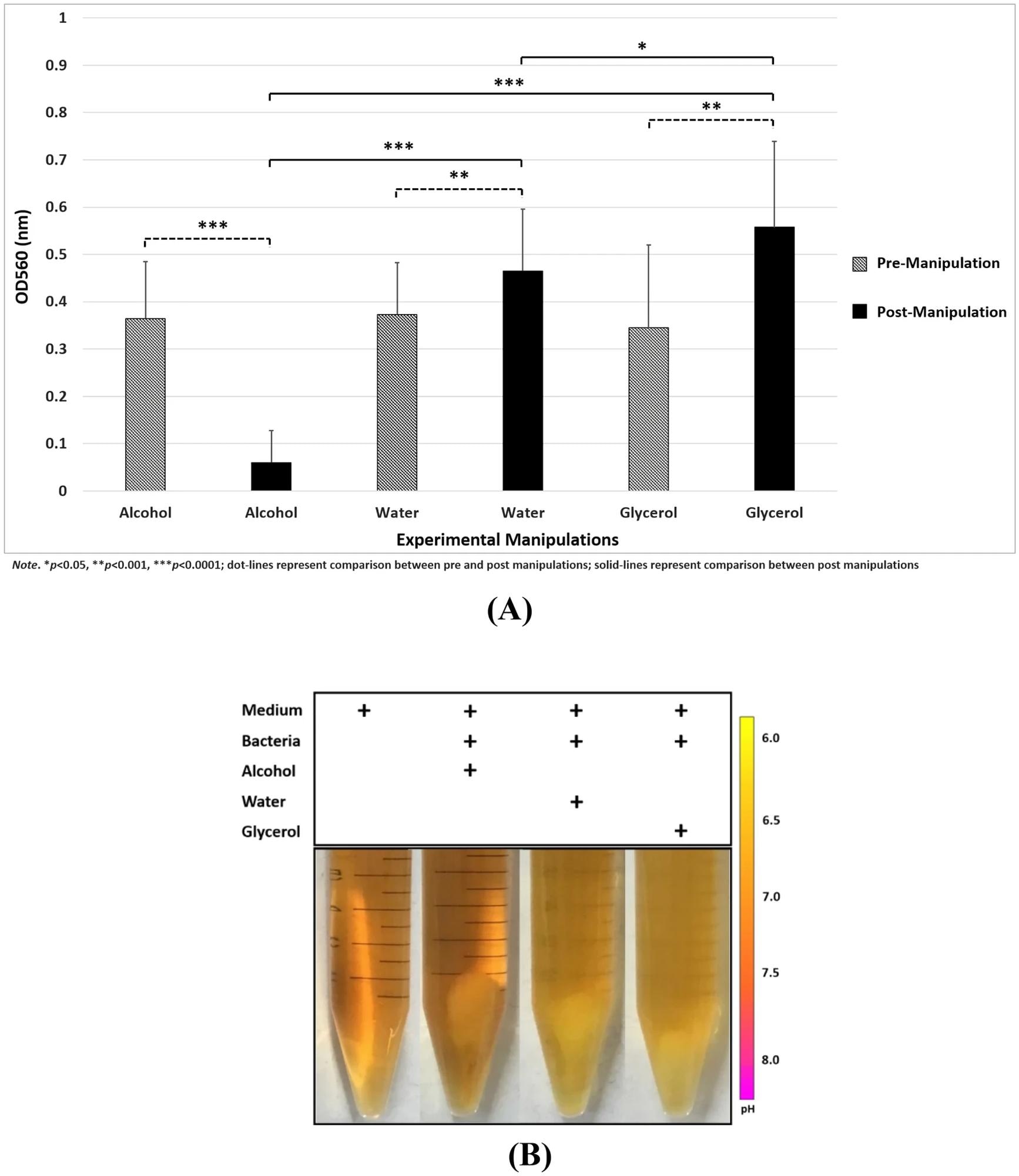 (A) Significant effects of experimental manipulations on bacteria population; (B) Color changes after experimental manipulations indicated bacterial fermentation.