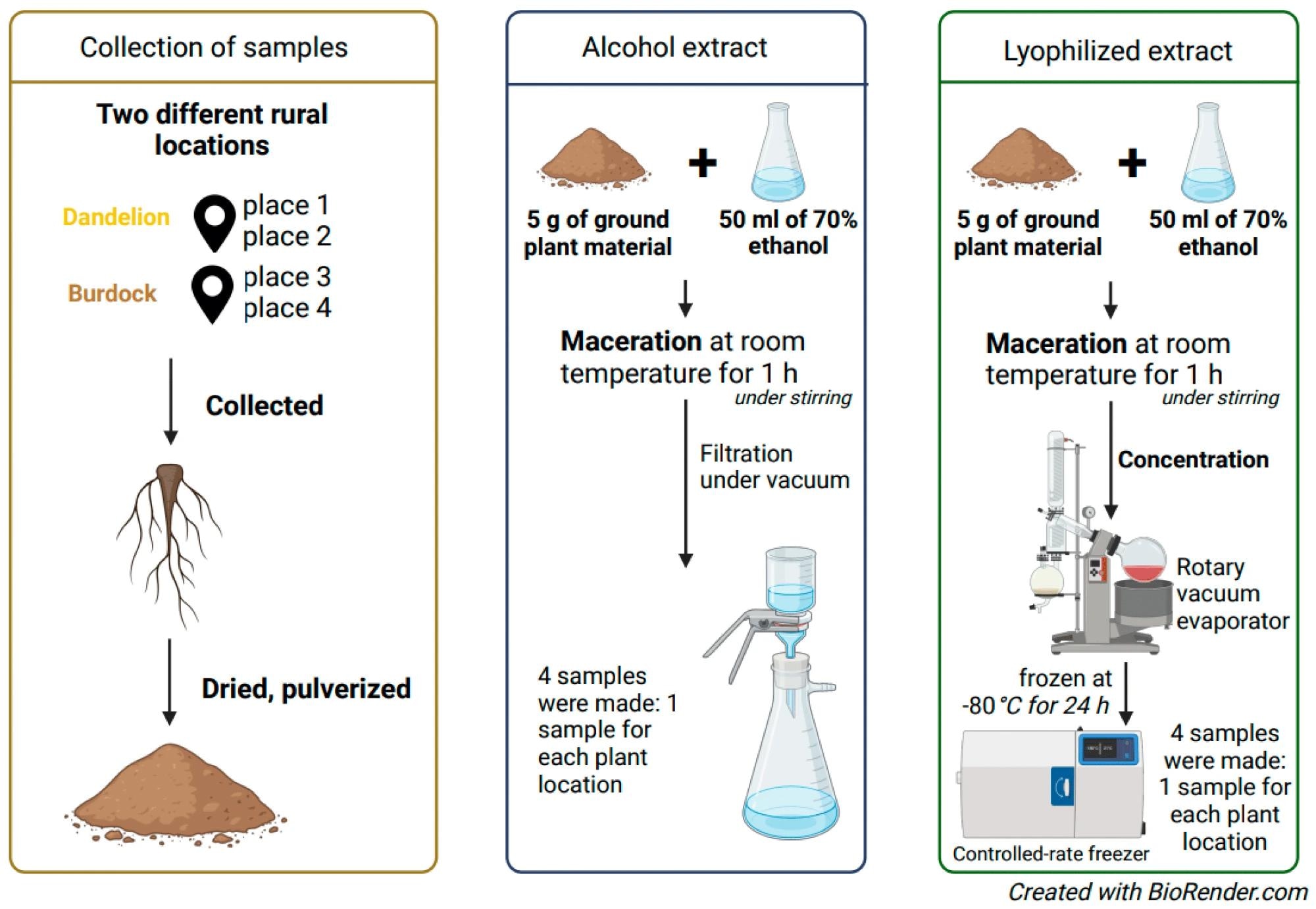 Preparation of ethyl alcohol and lyophilizate extracts.