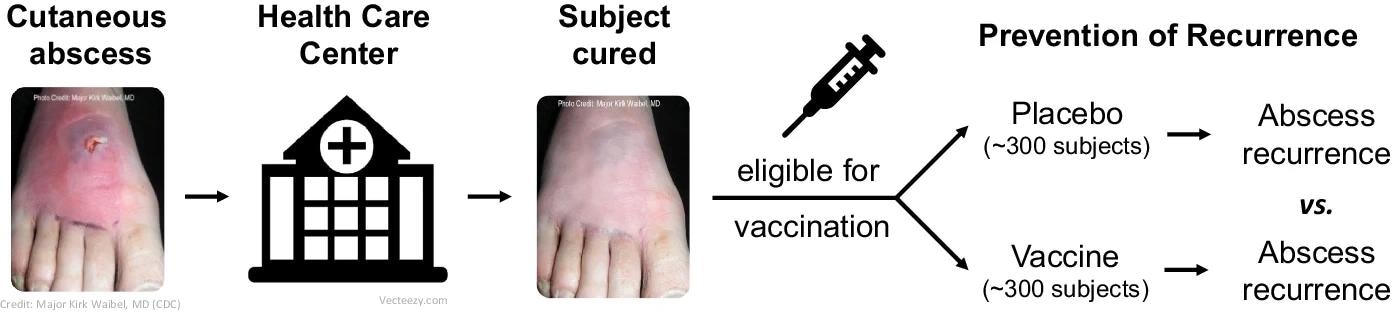 Paradigm clinical trial design (phase 1/2) in Reverse Vaccine Development: S. aureus vaccine in subjects at high risk of SSTI.