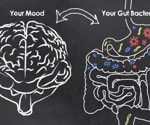 Gut-friendly psychobiotics could brighten moods and fight depression