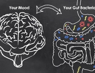 Gut-friendly psychobiotics could brighten moods and fight depression