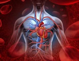 SGLT2 inhibitors: A game-changer in preventing heart failure and sudden cardiac deaths