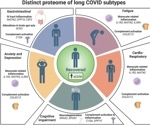 Study reveals inflammation's role in long COVID's lingering effects