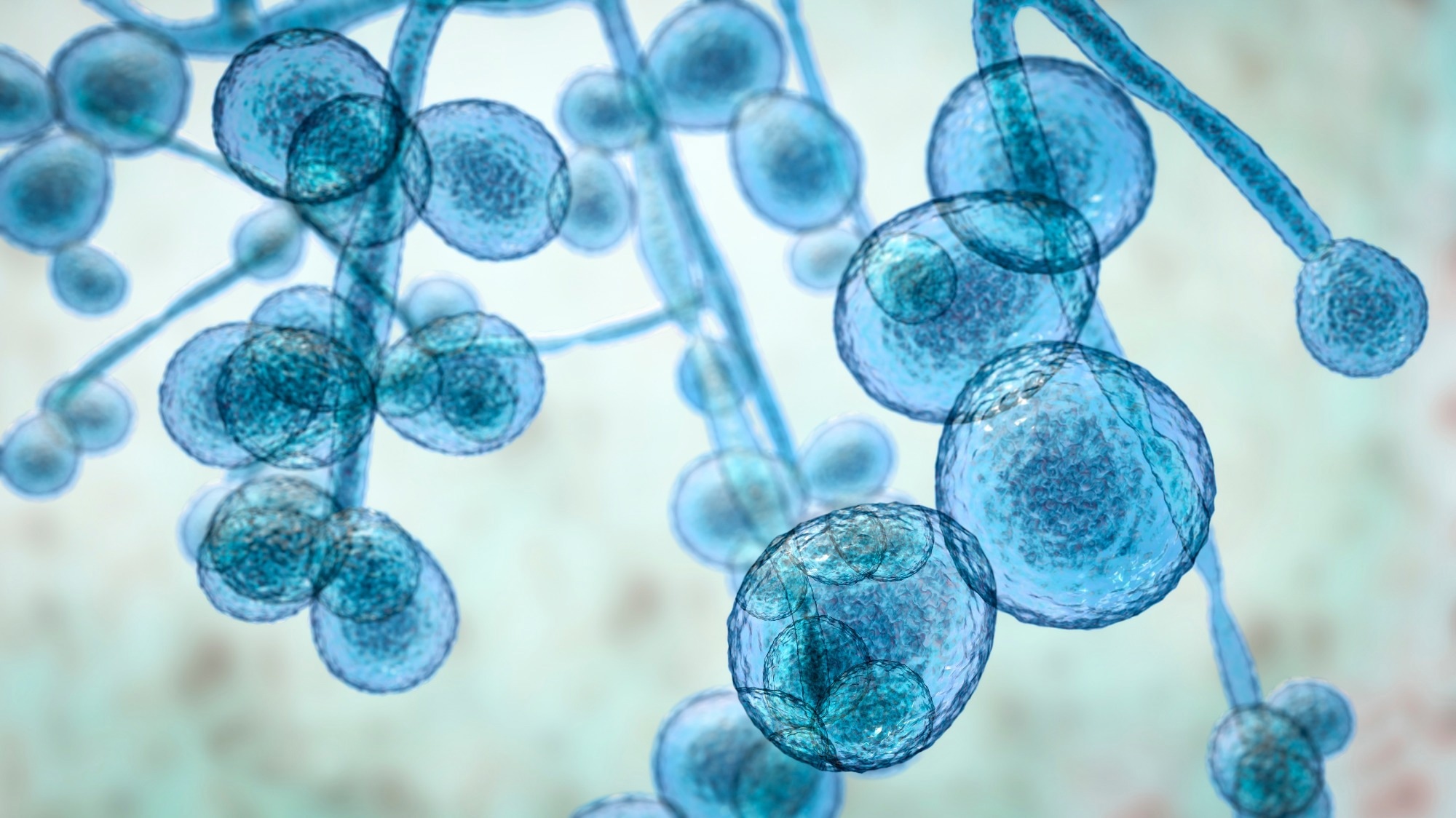 The WHO fungal priority pathogens list: a crucial reappraisal to review the prioritisation. Image Credit: Kateryna Kon / Shutterstock