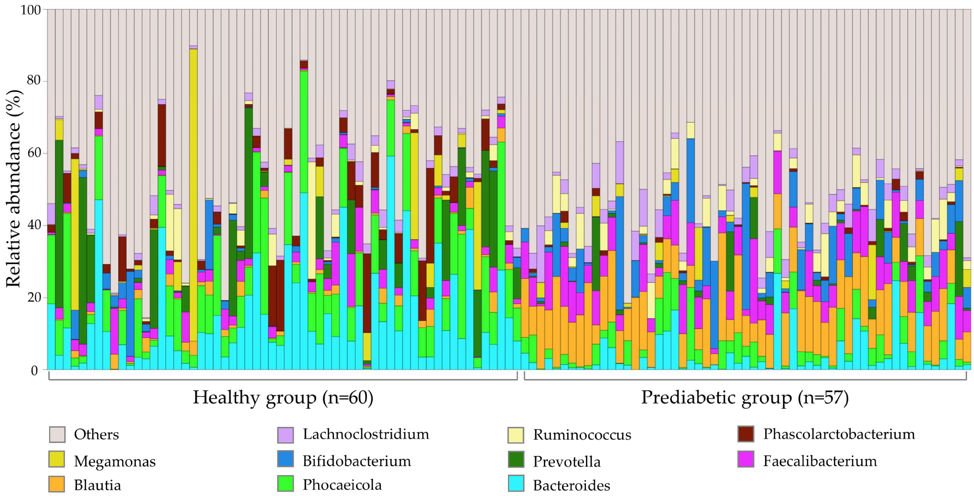 Gut microbiome profile of 117 fecal samples at the genus level. The remaining bacterial genera are summed as ‘Others’.