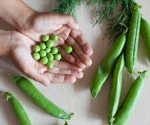 Early legume intake linked to better nutrition in toddlers