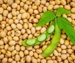 Balancing diets: study reveals plant protein's impact on nutrient levels in Americans