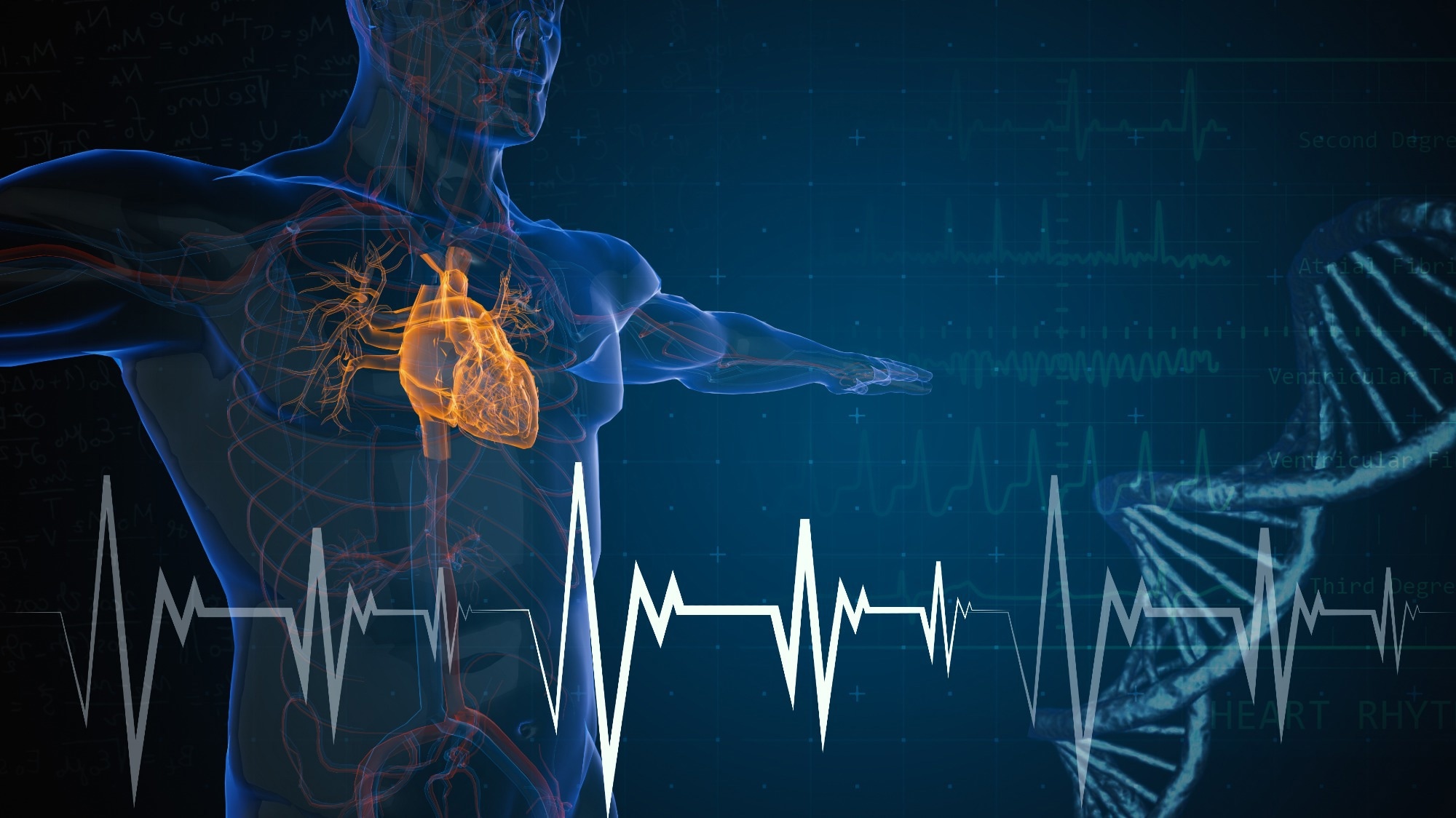 Clinical Review: Advances in management of heart failure. Image Credit: santoelia / Shutterstock