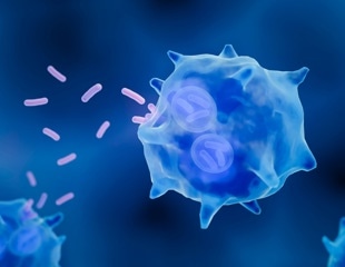 Exploring the versatile roles of tissue macrophages beyond immune defense