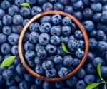Exploring the benefits of blueberries: Studies link extract to reduced cognitive aging