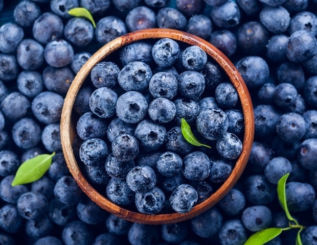 Exploring the benefits of blueberries: Studies link extract to reduced cognitive aging